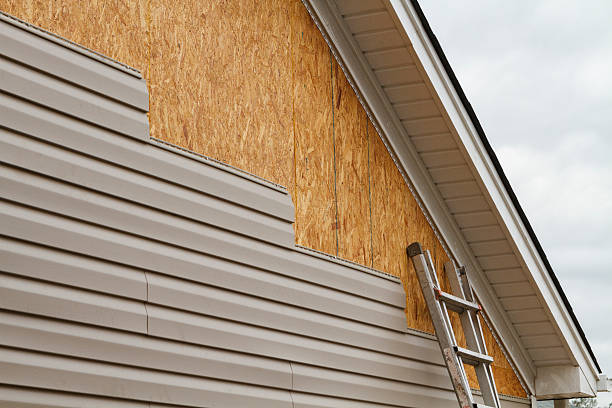 Professional Storm Damage Siding Repair technician working in Wheaton, MN